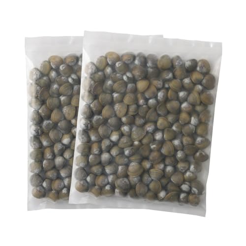 冷凍シジミ1kg(500g×2袋)