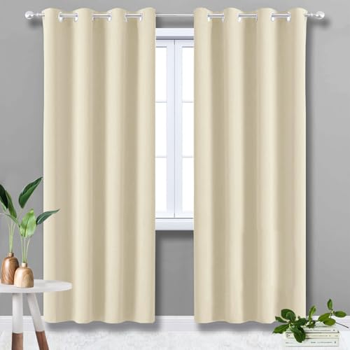 Rideau pour Dressing Isolant Thermique Froid 1 Pièce Anti UV Satiné Rideaux Occultants Thermique pour Fenetre Intérieurs Cuisine Dressing Beige 90x130cm