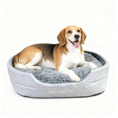NOFKYNOXA Orthopedic Dog Bed - Comfortable Memory Foam Pet Bed