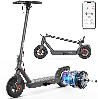 SISIGAD Electric Scooter