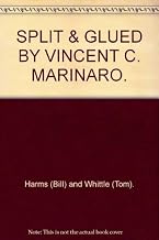 Split & Glued By Vincent C. Marinaro