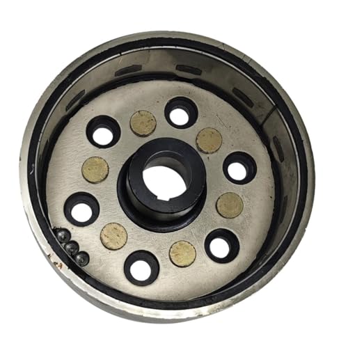 Rotor magnétique haute puissance pour volant d'inertie Linhai 300D LH300