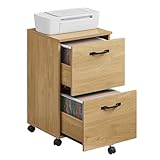 VASAGLE 2-Drawer File Cabinet,...