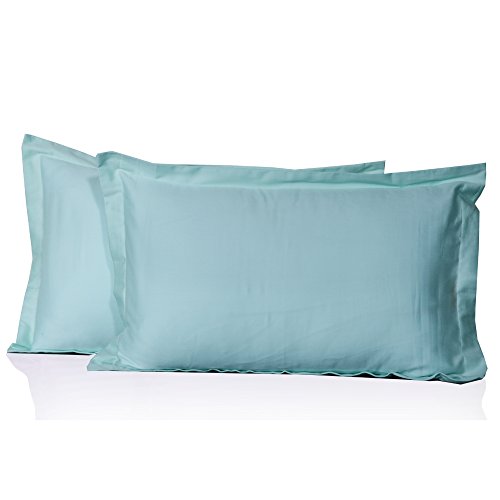 650 Thread Count 2 Piece Pillow Shams 100% Egyptian Cotton Solid Pattern All Size & Colors (Queen, Sky Blue) by Furnish Homes