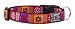 RC Pets 1 Inch Adjustable Dog Clip Collar, Large, Trendy Mehndi