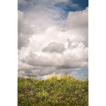ArtExpert Blue Sky Vista 2 by Dianne Poinski - 12x18 Art Print Poster