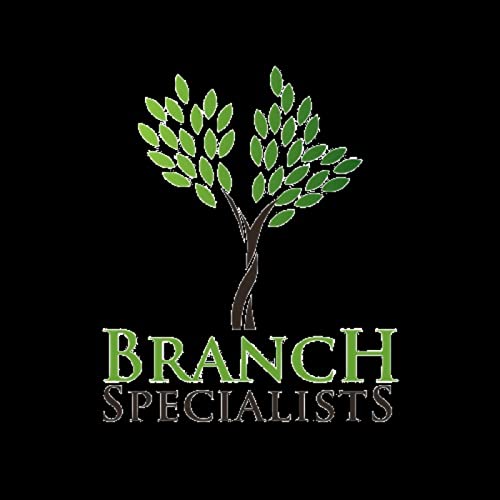 branchspecialistsrochester's Podcast cover art