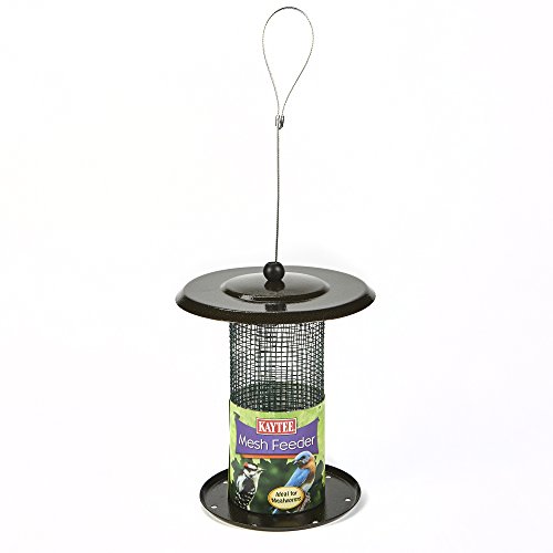 Top 10 Kaytee Bird Feeders Of 2019 Best Reviews Guide