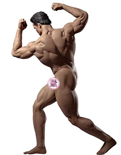 NEDTO Phicen 12" Action Figure - Realistische Silikon-Körper mit männlichen Genitalien - 1/6 Scale Super Flexible Action Figure für Kunst/Drawings/Photography (M35)