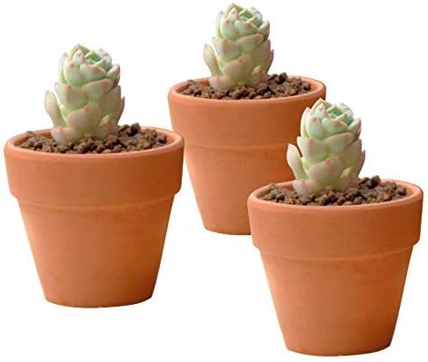 32 Pcs - 2.16" Small Mini Clay Pots Terracotta Pot Ceramic Pottery Planter Terra Cotta Flower Pot Succulent Nursery Pots - Great for Window Boxes, Cactus, Plants, Crafts, Wedding Favors