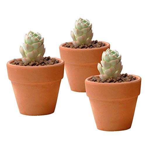 32 Pcs - 2.16" Small Mini Clay Pots Terracotta Pot Ceramic Pottery Planter Terra Cotta Flower Pot Succulent Nursery Pots - Great For Window Boxes, Cactus, Plants, Crafts, Wedding Favors #TOP4