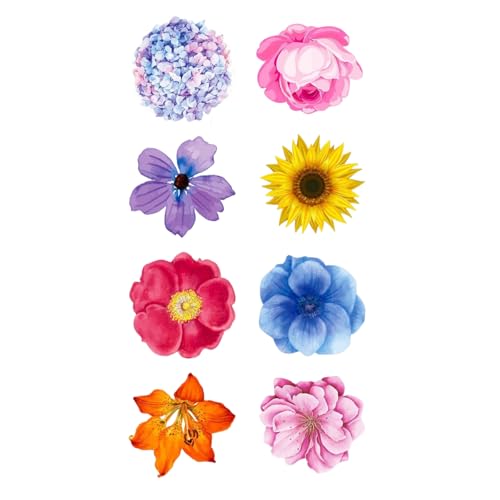 500pcsXNbvubLOp̉Ԍ^̃XebJ[W[iSV[pbP[WxV[Gx[vbsOo^tCp