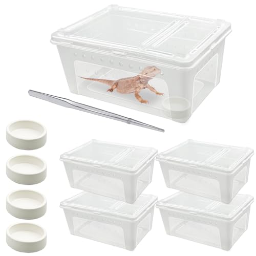 Jamceoceo 4 peças. Caixa de transporte de répteis de plástico transparente para répteis para cobras,