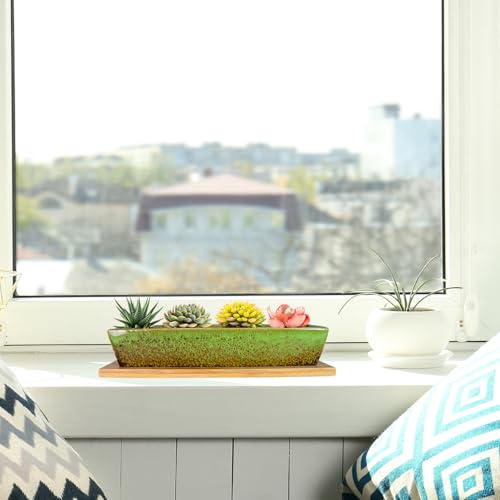 ARTKETTY Succulent Pots, 9.8 Inch Ceramic Succulent Planters with Drainage Small Bonsai Pot with Bamboo Tray, Mini Cactus Flower Planter Pot Shallow Rectangular Window Planters for Indoor Plants by ARTKETTY - Used condition - Image 4
