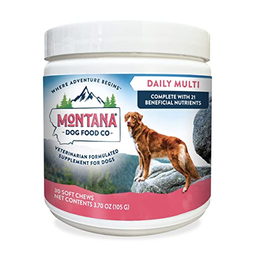 Our 10 Best Dog Vitamins Made In Usa Reviews In 2024 Glory Cycles