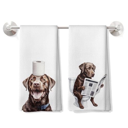 DOFQZ Funny Chocolate Labrador Retriever Bathroom Humor Kitchen Towels Set of 2 Labrador Retriever Lover Gifts Toilet Paper Reading Dog Dish Tea Towels for Kitchen Decor 16x24 Inch CC155