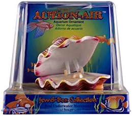 Penn Plax Aerating Action Ornament Tropical Clam Opens And Closes Aquarium Decor Ornaments Pet Supplies Amazon Com