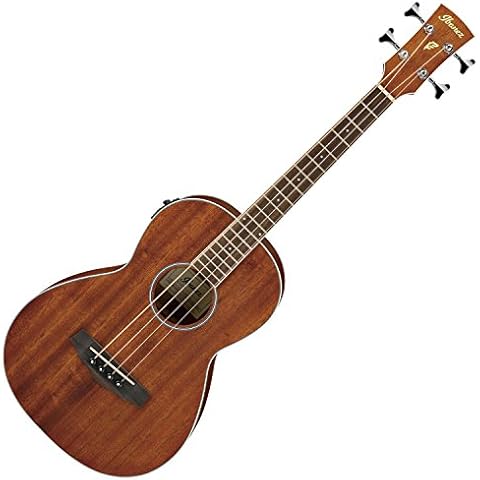 Ibanez PNB14E Parlor Acoustic Bass Cover