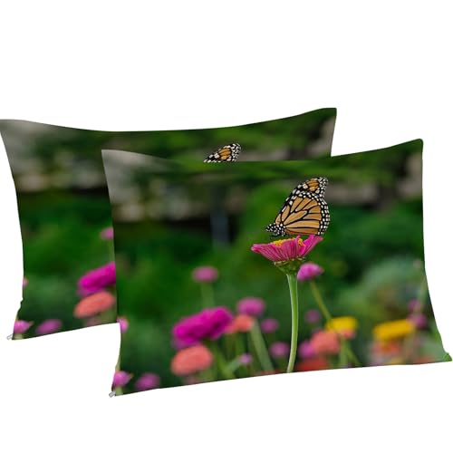 Housse de couette 160x200 fleurs papillon 3 pcs