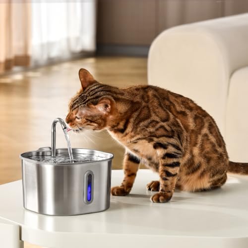 Image of KittySpout Stainless Steel Cat Water Fountain Automatic Drinking Fountain, Quiet Circulating Water Bowl, Dishwasher Safe, Indoor Pet Fountain for Hydrated Healthy Cats (Stainless Steel, 2.2L Corded)
