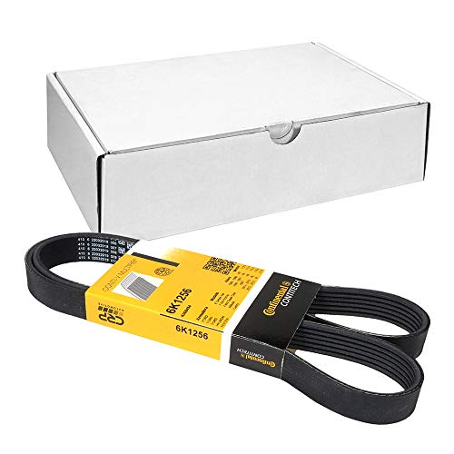 Contitech 6 Pk 1256 Cinghie Vi