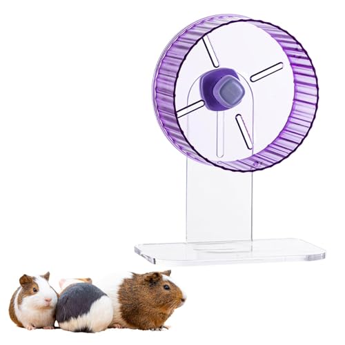 IEUDNS Rodas de exercício silenciosas para hamster, acessórios de gaiola, rodas de exercício de anim