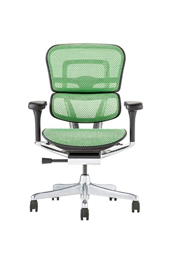 Ergohuman PRO2 EHP2-LAM-DR-BF-GN [�O���[��]