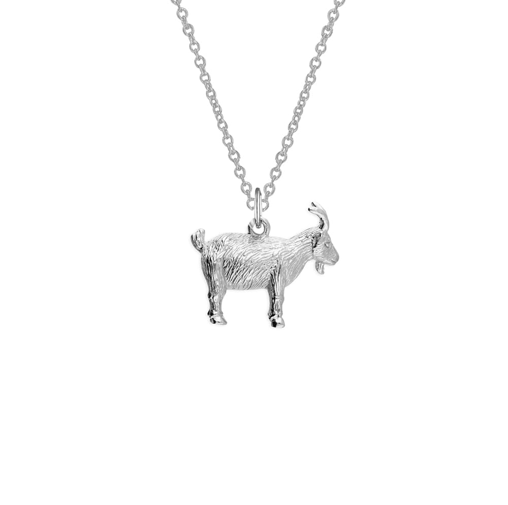 Collana con ciondolo in argento Sterling con zodiaco cinese, anno della capra