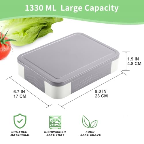 Lovina Bento Box For Adult Kids thumb #3