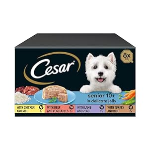 CESAR Senior 10+ in Delicate Jelly 3x 8x150g
