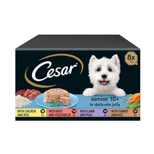 CESAR Senior 10+ in Delicate Jelly 3x 8x150g