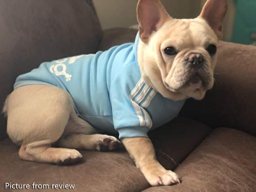 (L, Azul) - Tecido Idepet Soft Algodao Adidog para Cachorro