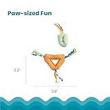 Petstages Catnip Dental Health Chews - Zahnpflege-Kauspielzeug für Katzen - Katzenminze - Mehrfarbig - 2 Stück