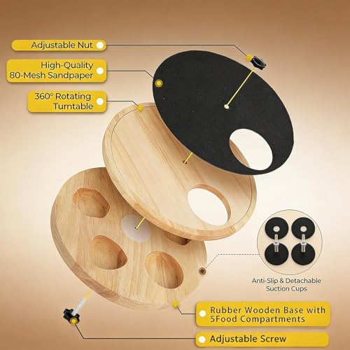Entretien des griffes canines à la maison avec la planche de grattage en bois interactive