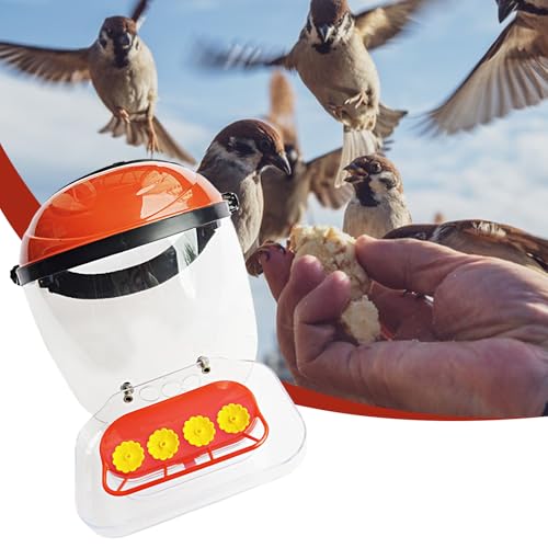 Forro de casco de colibrí manos libres que soluciona la observación incómoda en el patio 8
