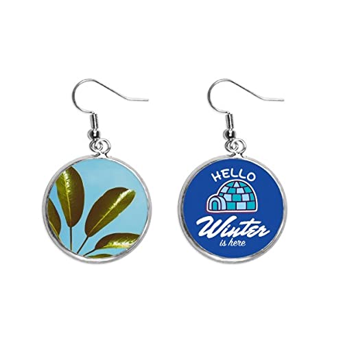 Pendientes de gota planta de hoja naturaleza invierno cielo azul para mujer