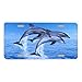 Smart Blonde Dolphins Novelty Vanity Metal License Plate Tag Sign