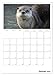 The Otter Appointment Planner (Wall Calendar 2026 DIN A3 High), CALVENDO Monthly Calendar: Fishing Otter - Floating Marten