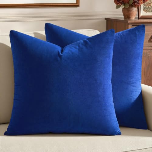 Image of MIULEE Velvet Throw Pillow Covers 20x20 Inch, Pack of 2 - Royal Blue, Soft Solid Decorative Pillow Covers Cushion Cases Modern Luxury Home Decor for Couch Sofa Bedroom Livingroom