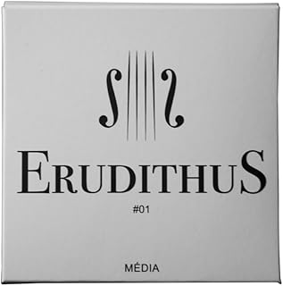 Erudithus #01 cordas para violino 4/4 núcleo de aço inox com e