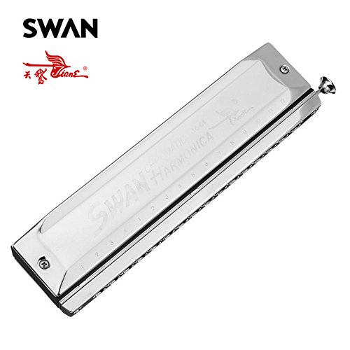 circulor Harmonicas Chromatiques Hohner Harmonicas Diatoniques Harmonicas Professionnelles Harmonicas Chromatiques… - Les Beatles, Paul McCartney, John Lennon, RIngo Starr, George Harrison circulor Harmonicas Chromatiques Hohner Harmonicas Diatoniques Harmonicas Professionnelles Harmonicas Chromatiques… – Image 3