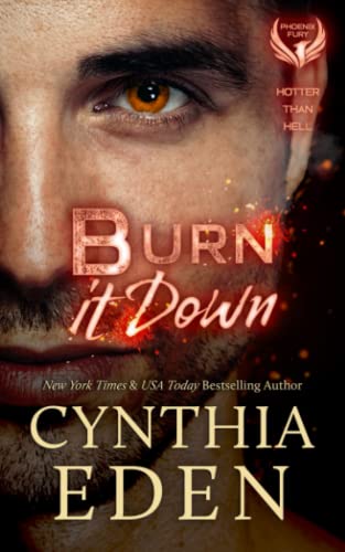 Cover of Burn It Down