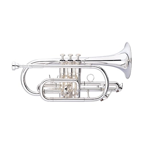 Levante LV-CR5201 Cornet