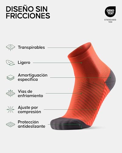 Mejores precios y opiniones de Donde comprar plantas disponible en línea. 24 Imagen adicional