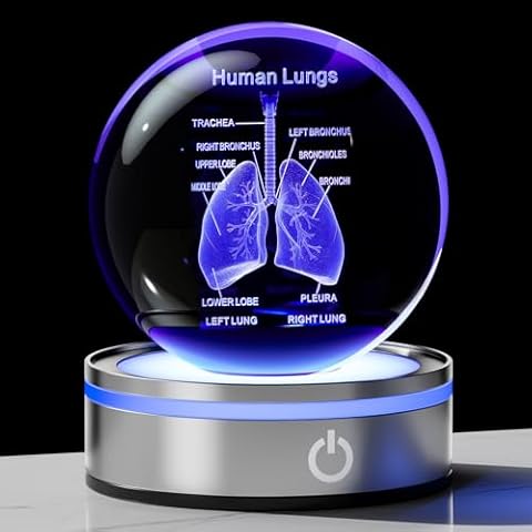 Enjinkail 3D Human Lung Model Crystal Ball Doctor Gifts for Women Men, Laser Etched Glass Anatomical Lung Figurine Science Biology Surgeon Decor Graduation Gifts for Medical Student with LED Base Cover