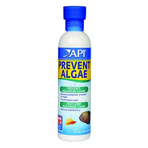 API Prevent Algae Aquarium Algae Control Solution, 237 ml Bottle Cover