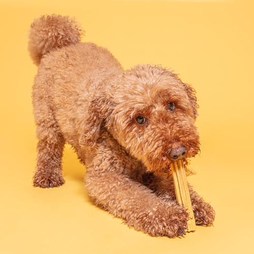 Pooch & Mutt - Training Dental Sticks für Hunde mit Erdnussbuttergeschmack, 1 Packung mit 7 Sticks