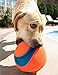 Chuckit! Kick Fetch Ball Dog Toy - Floats in Water - Perfect for Interactive Play - Made with Durable Rubber and Foam - For Large Dogs - Size Large - 8-inch Diameter - Pack of 1