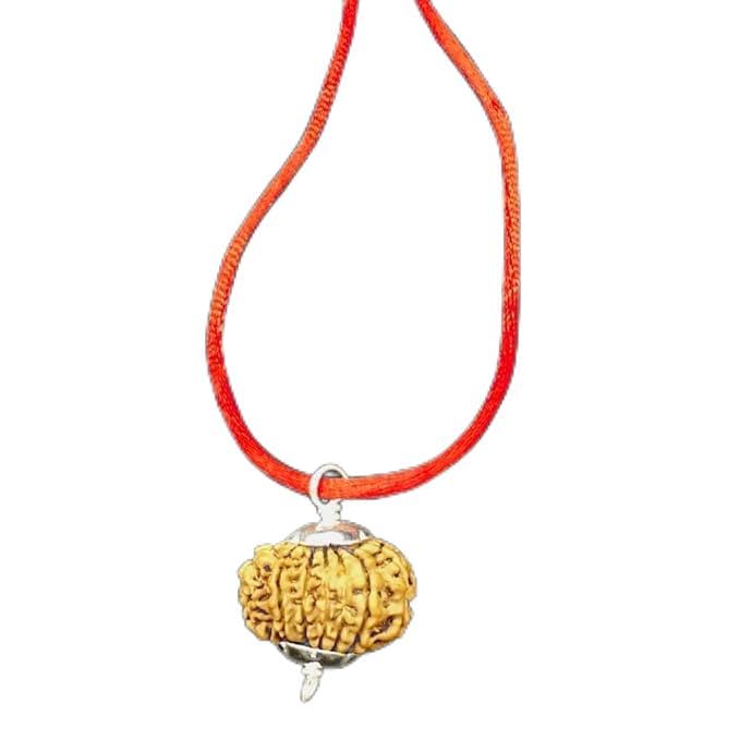 Rudraksha 14 Mukhi Népal perle bois 25mm Ganesha Arts pour méditation