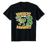 Die besten Dinosaurier Geburtstagsshirt Geschenke